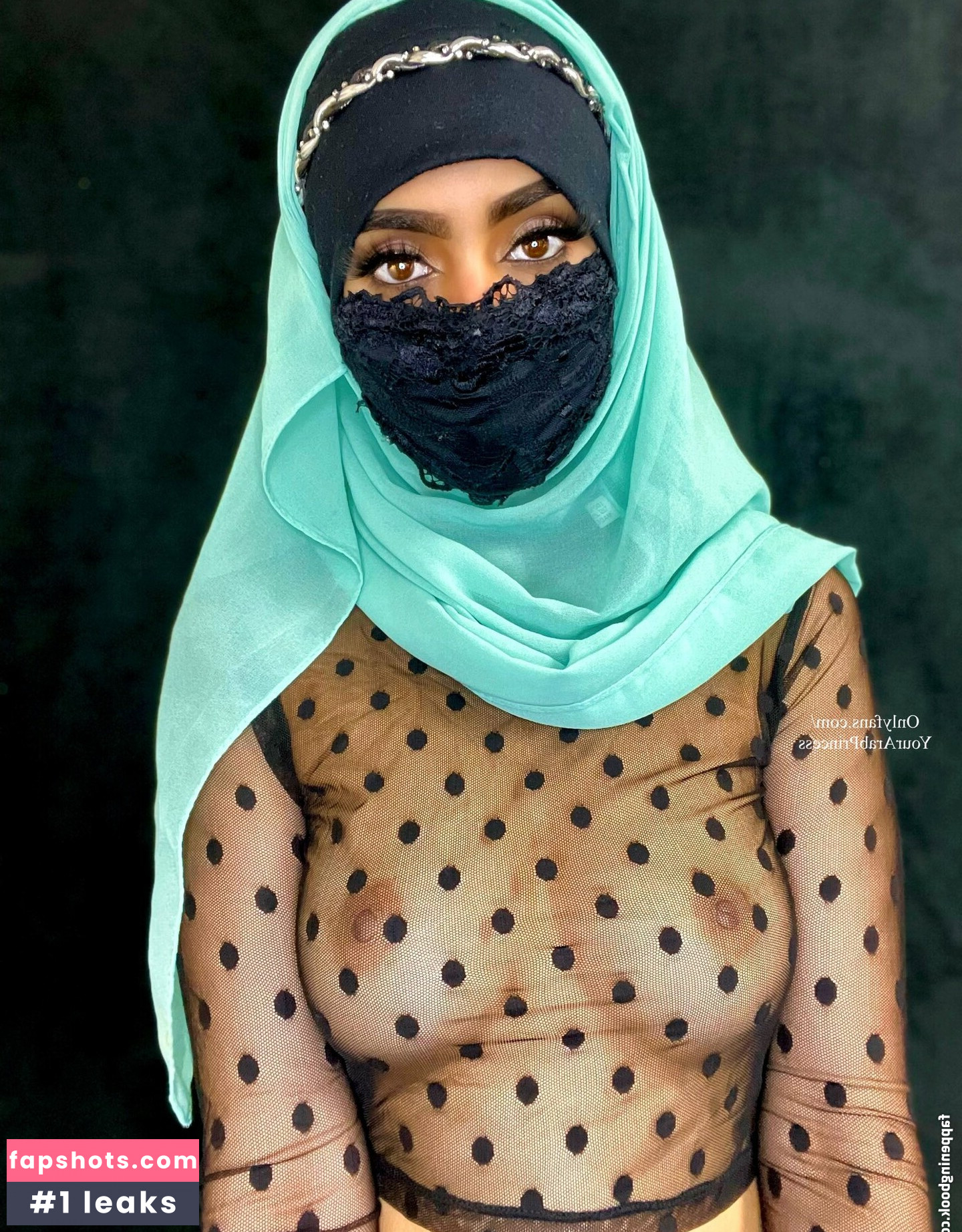 Aaliyah Aziz gallery photo #21