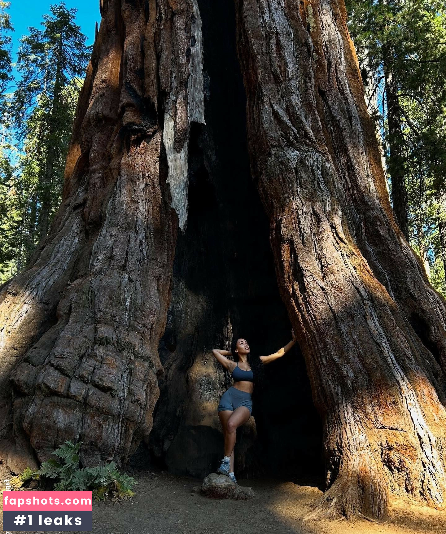 Aaliyeezy gallery photo #19