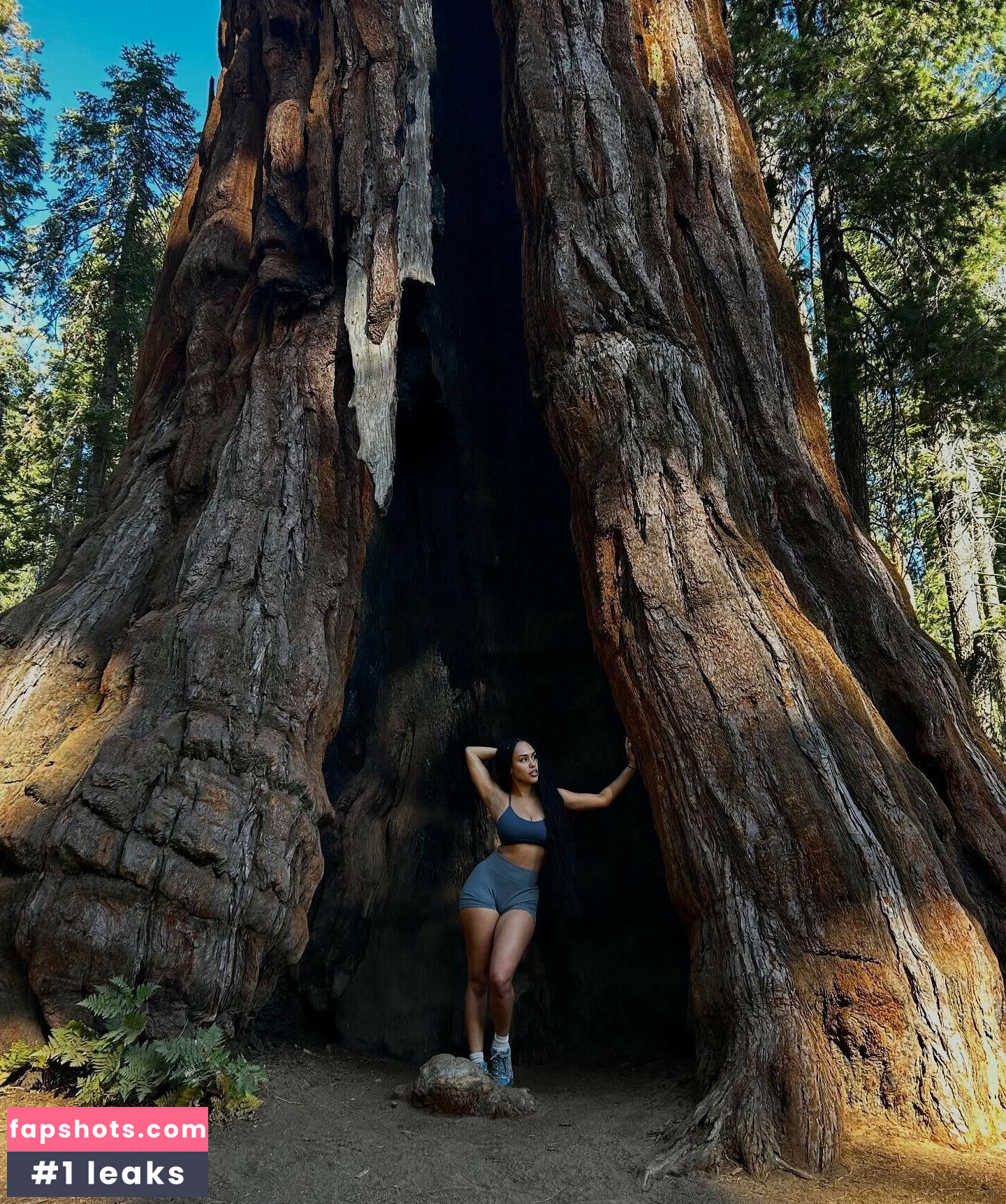 Aaliyeezy gallery photo #21