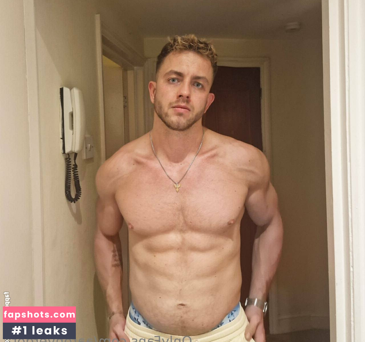 aaronvergota gallery photo #2