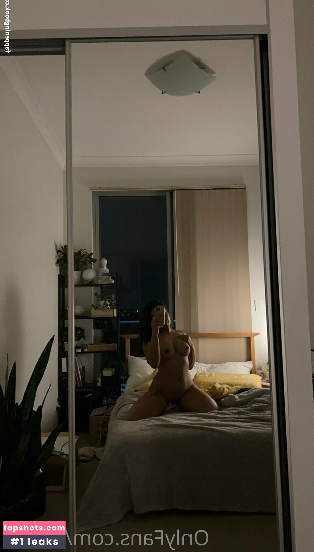 Aazula gallery photo #10