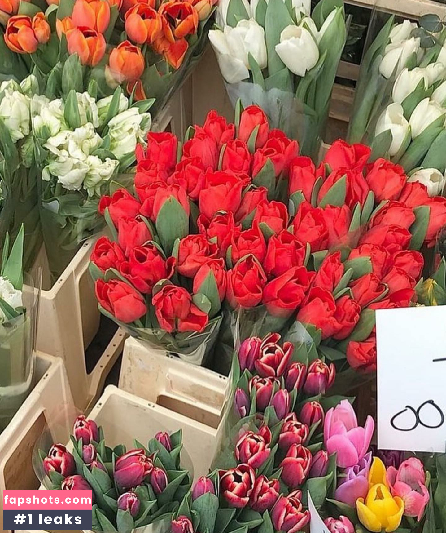 Abbey Jeffrey Nude Leaks OnlyFans Photos #10 - Fapshots