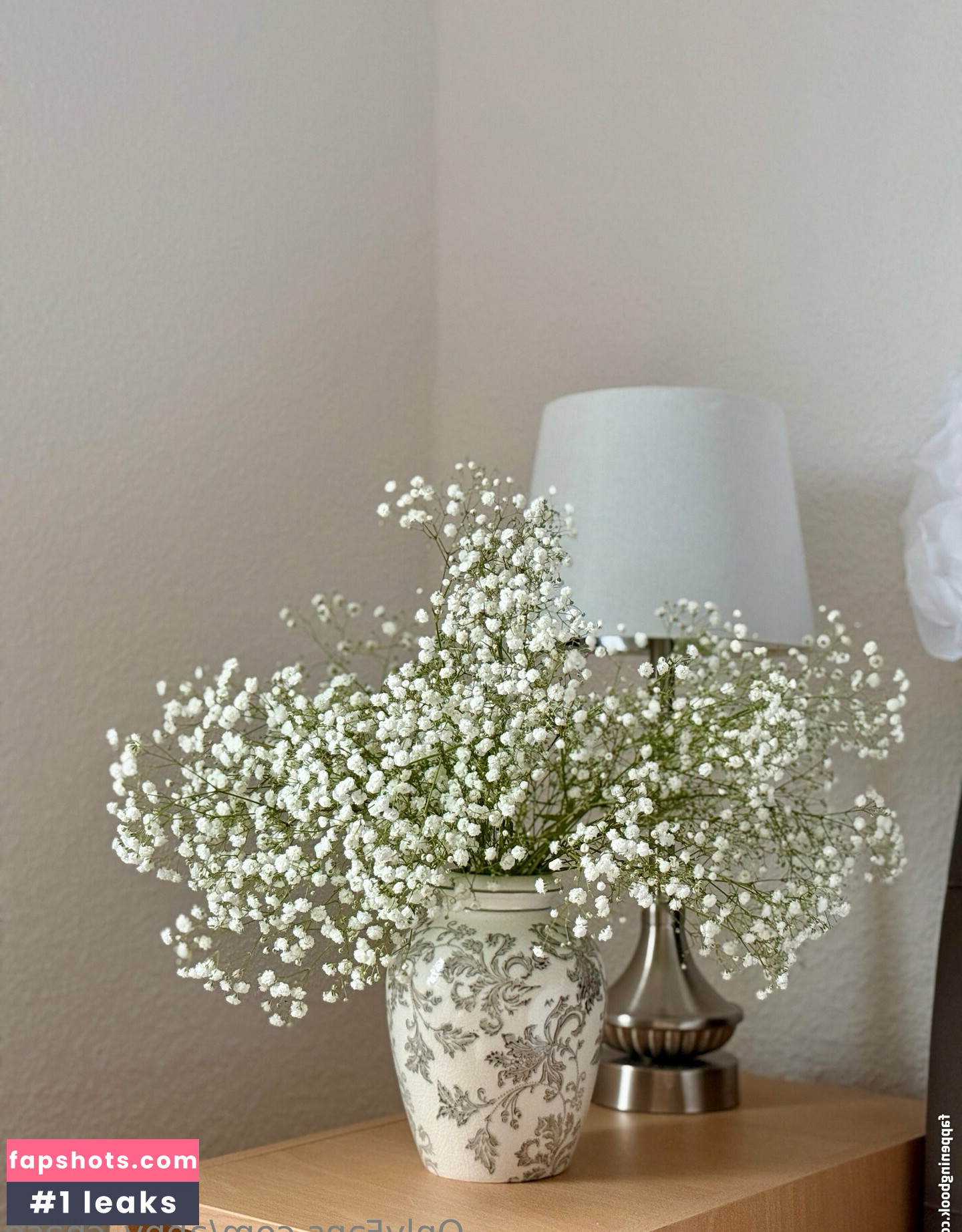 abby_chase gallery photo #2