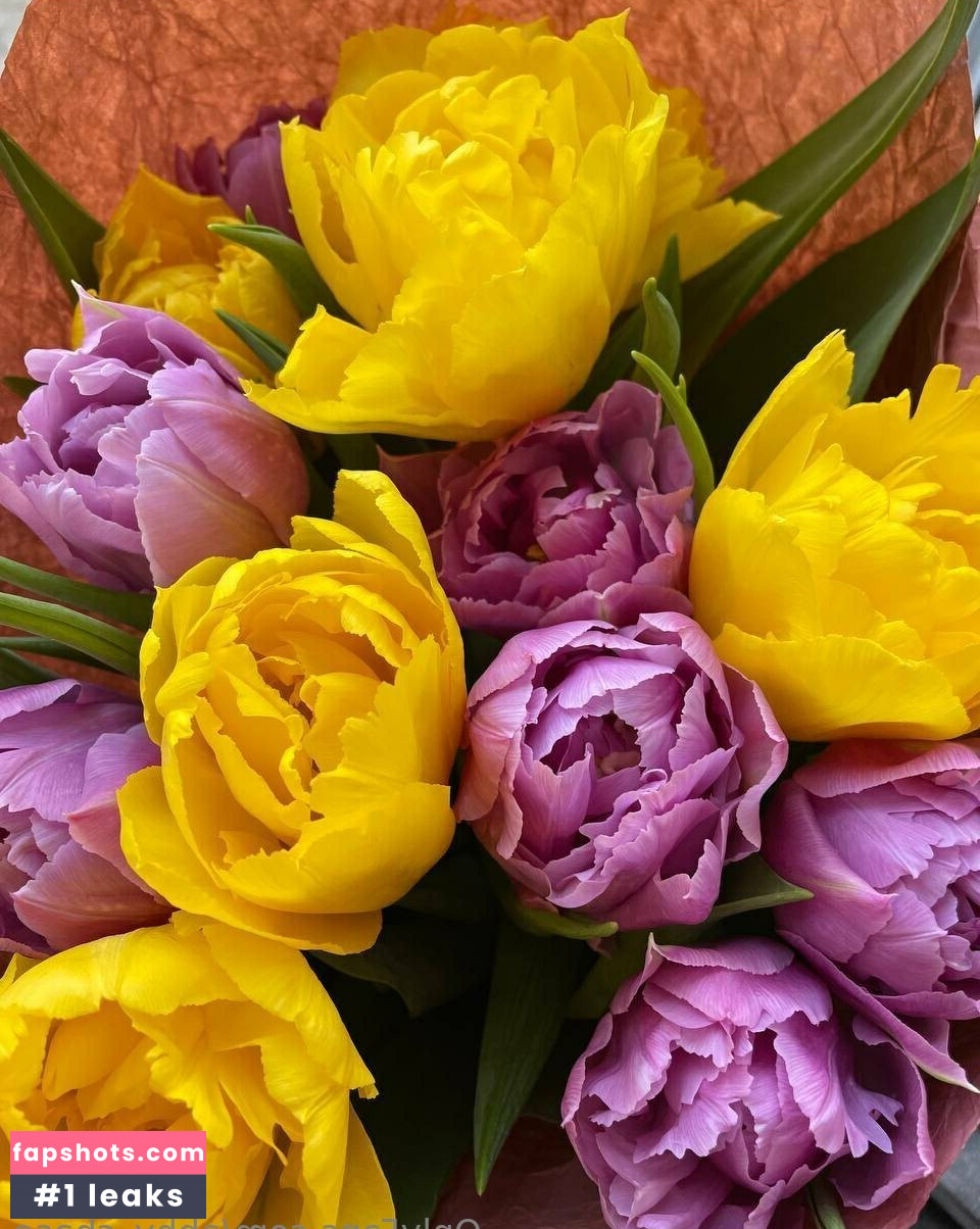 abby_chase gallery photo #15