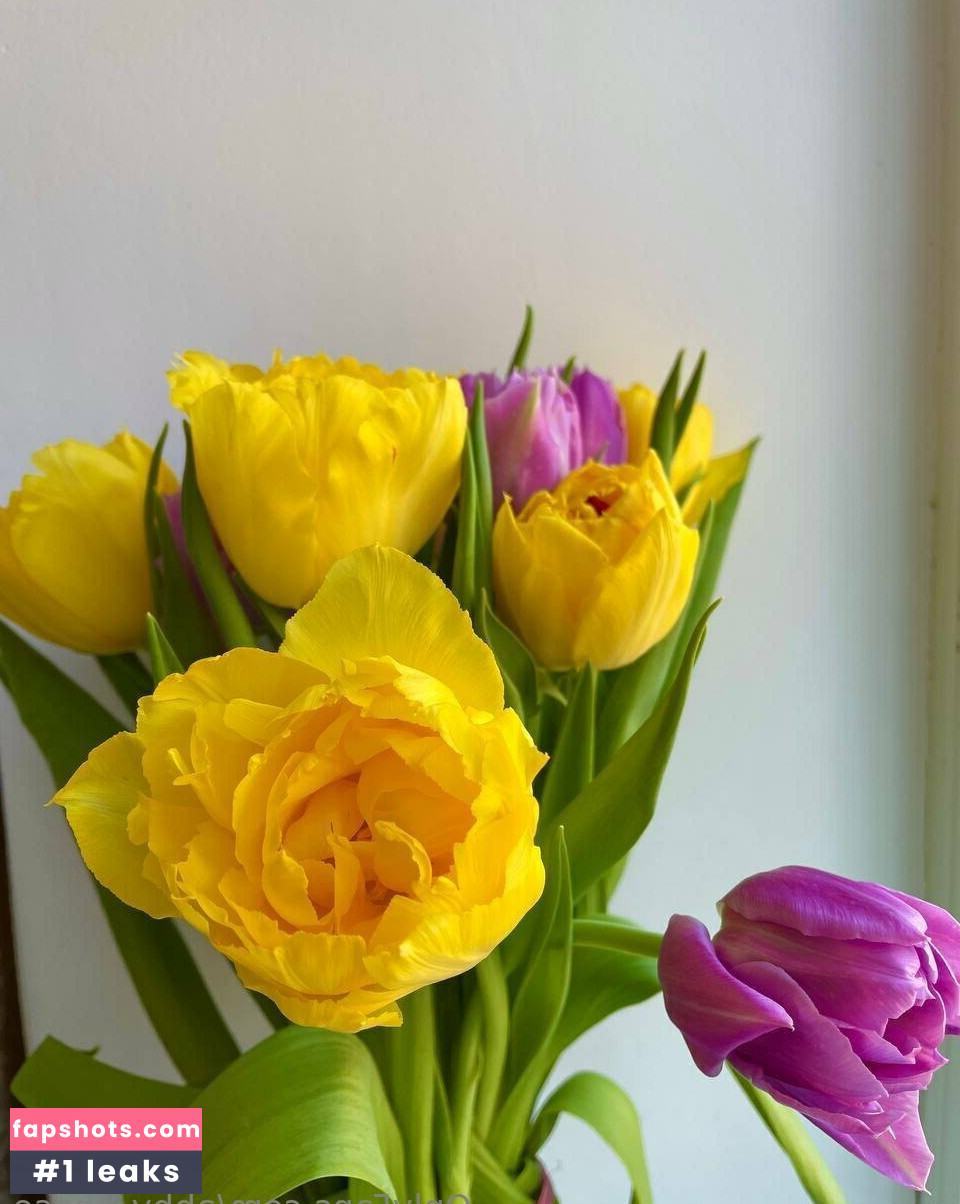 abby_chase gallery photo #8