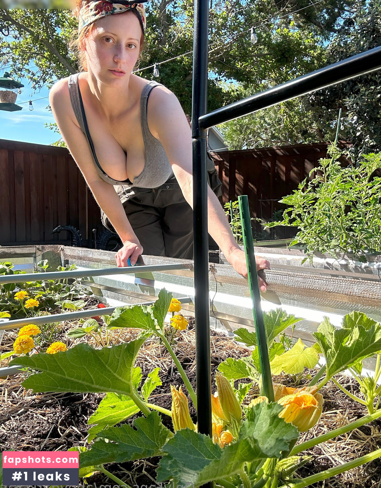 Abby Darkstar gallery photo #176