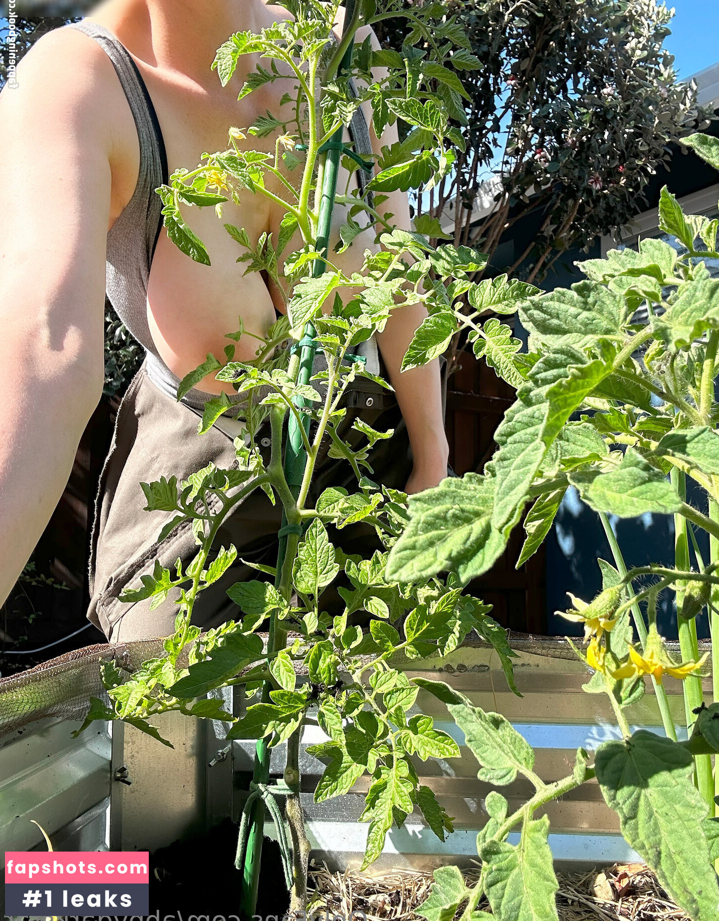 Abby Darkstar gallery photo #183