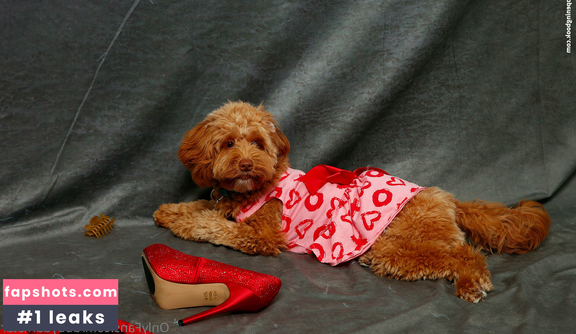 abbydarkstar gallery photo #116