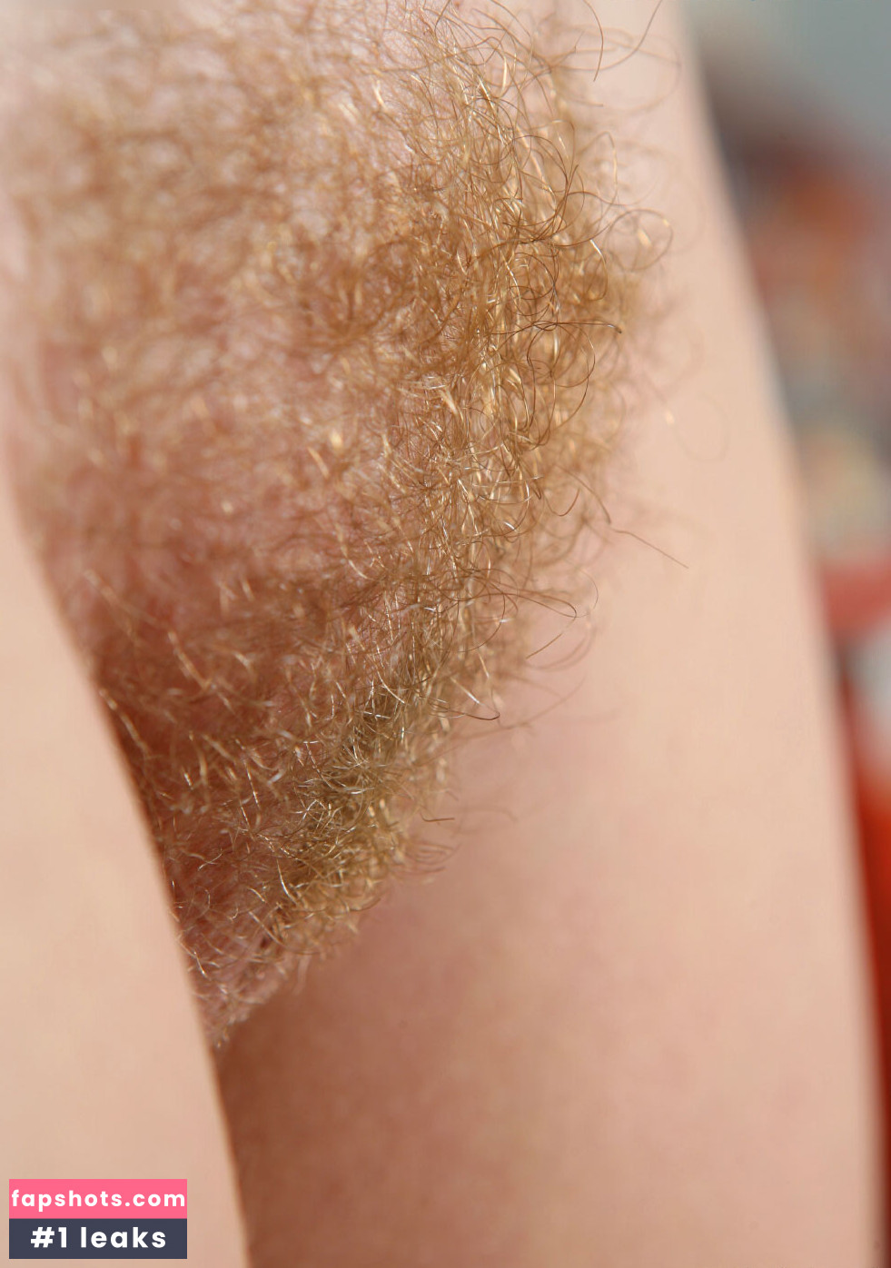 AbbyWinters gallery photo #1125