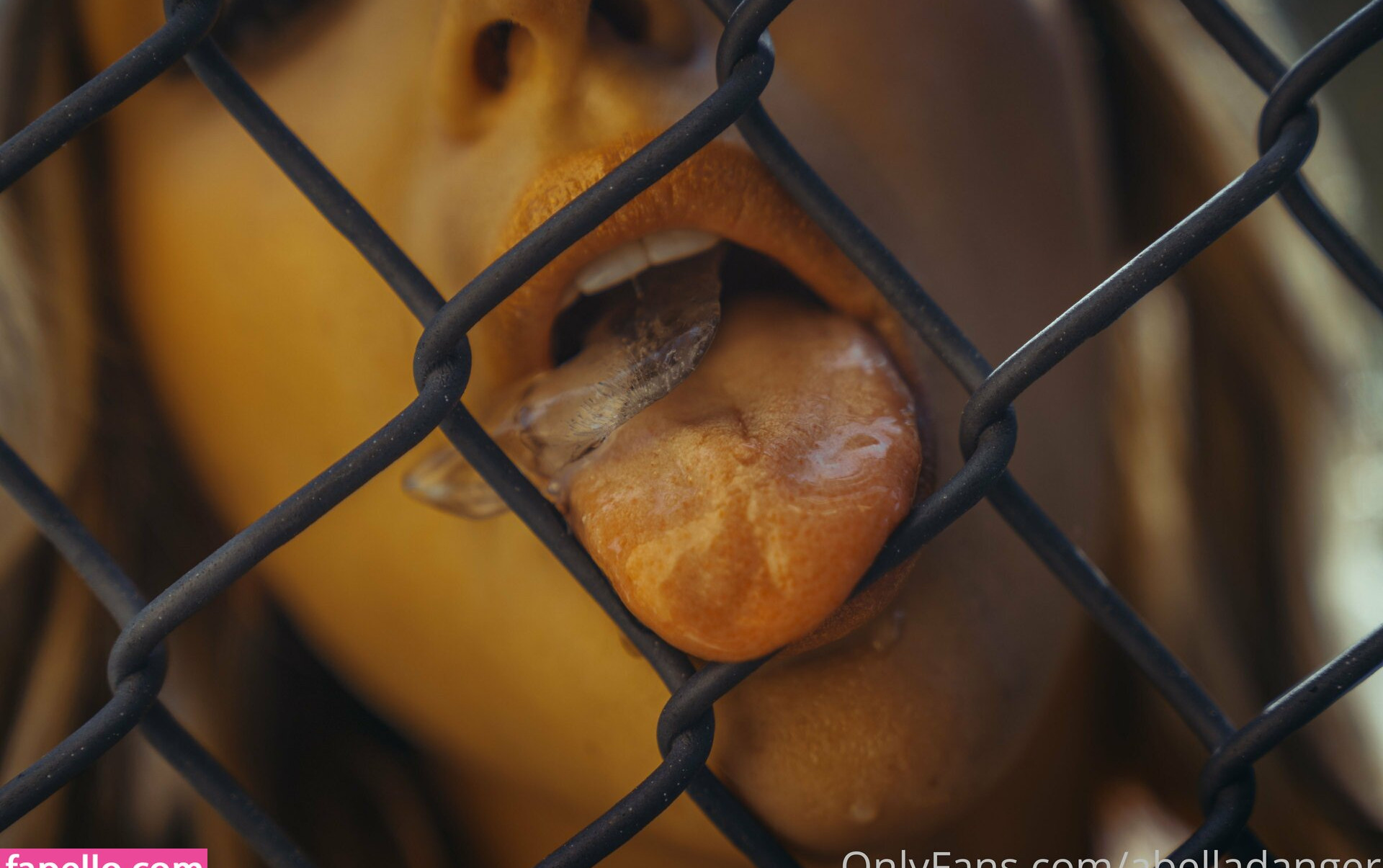 abella-danger gallery photo #1925