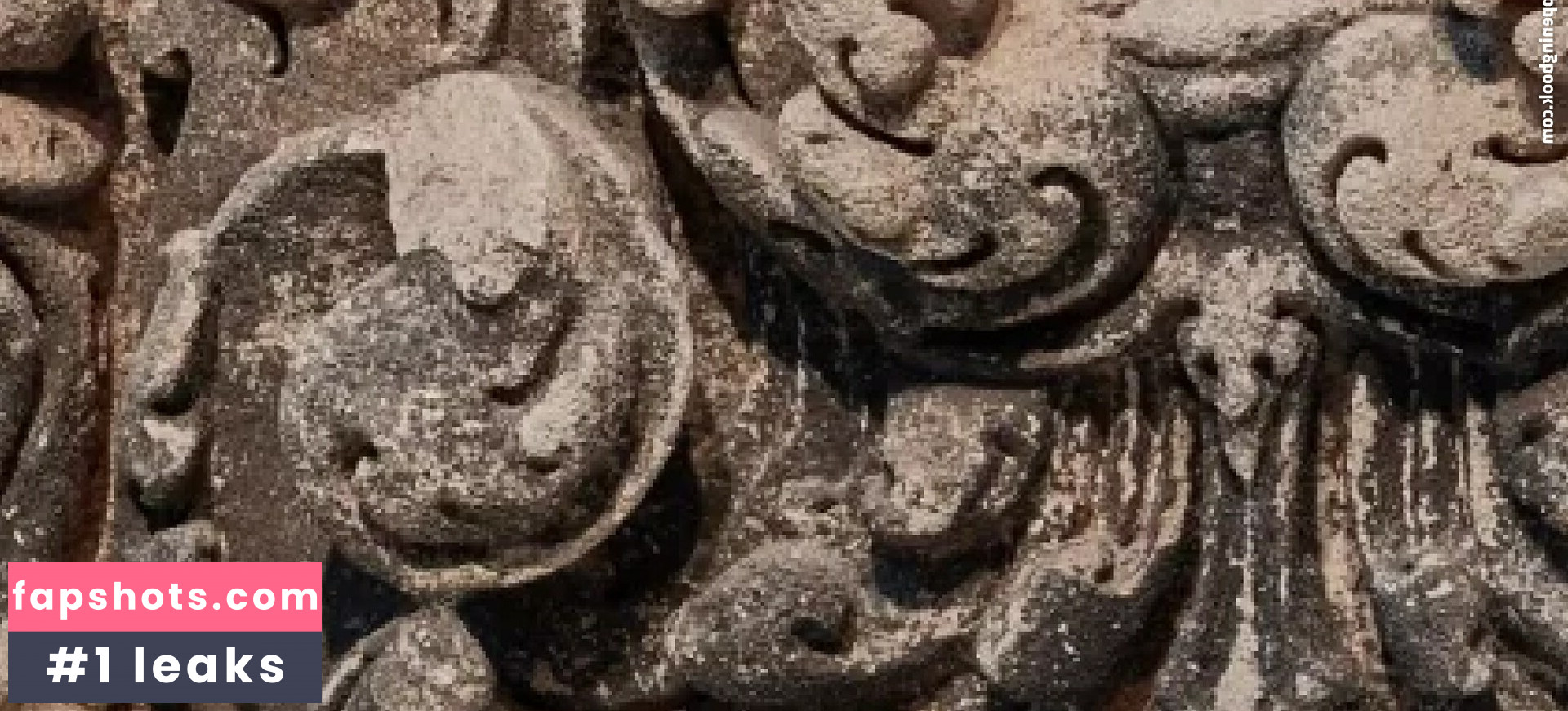 Ablackcat gallery photo #2