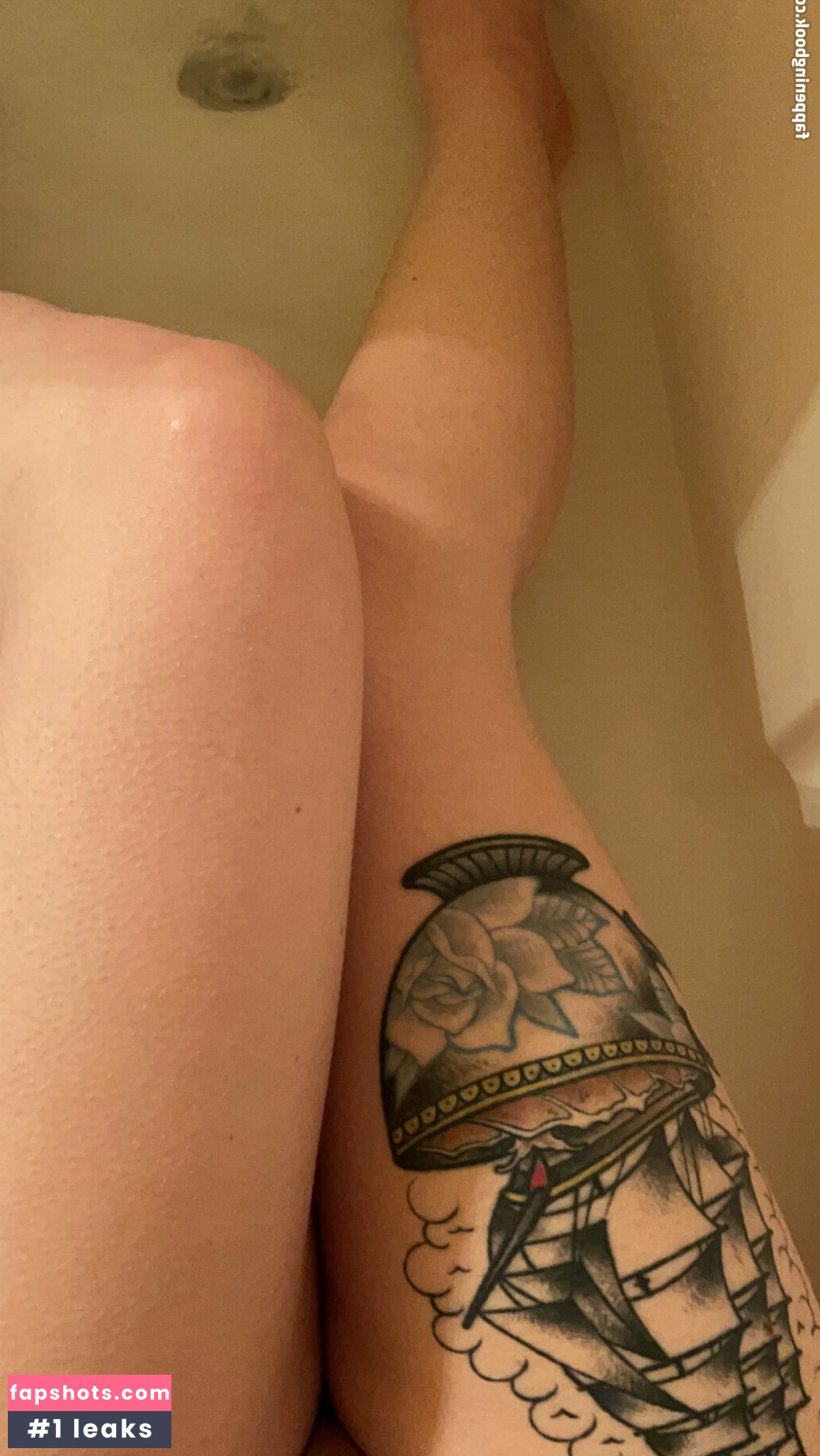 acoalminecanary gallery photo #19