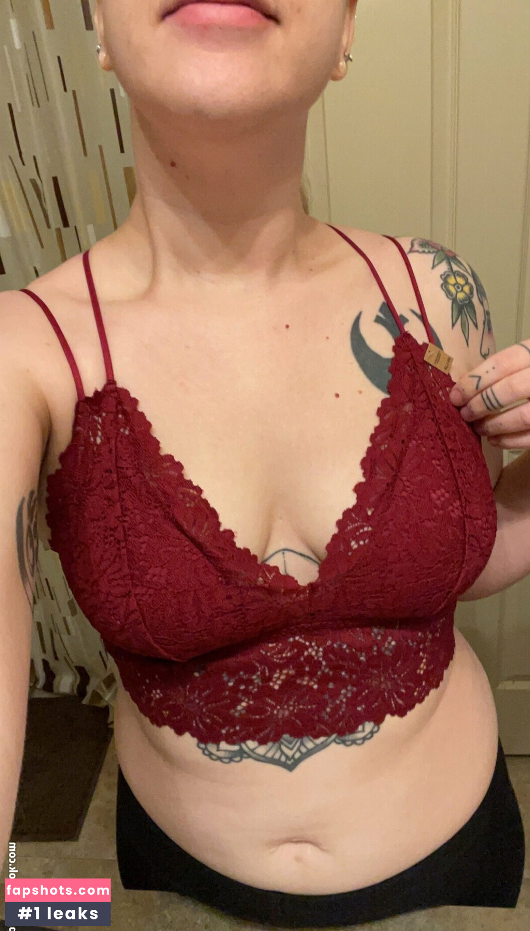 acoalminecanary gallery photo #20