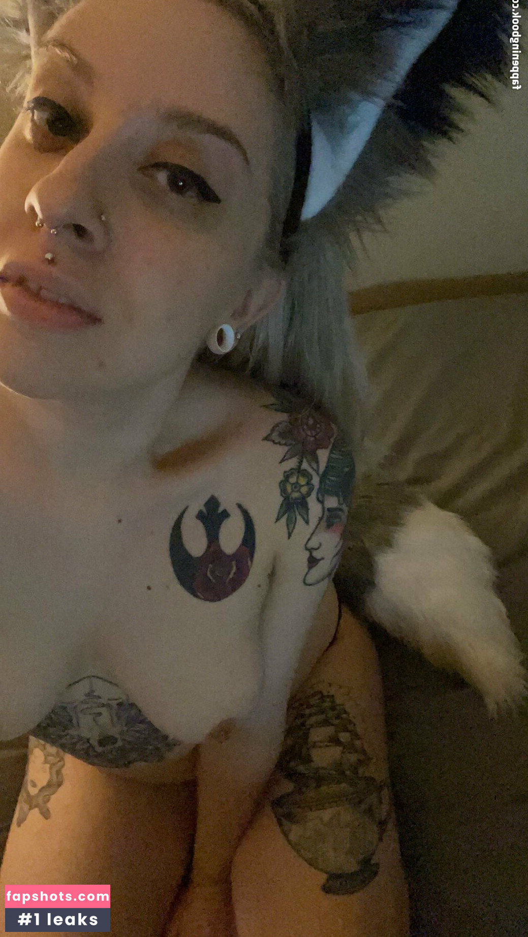 acoalminecanary gallery photo #24