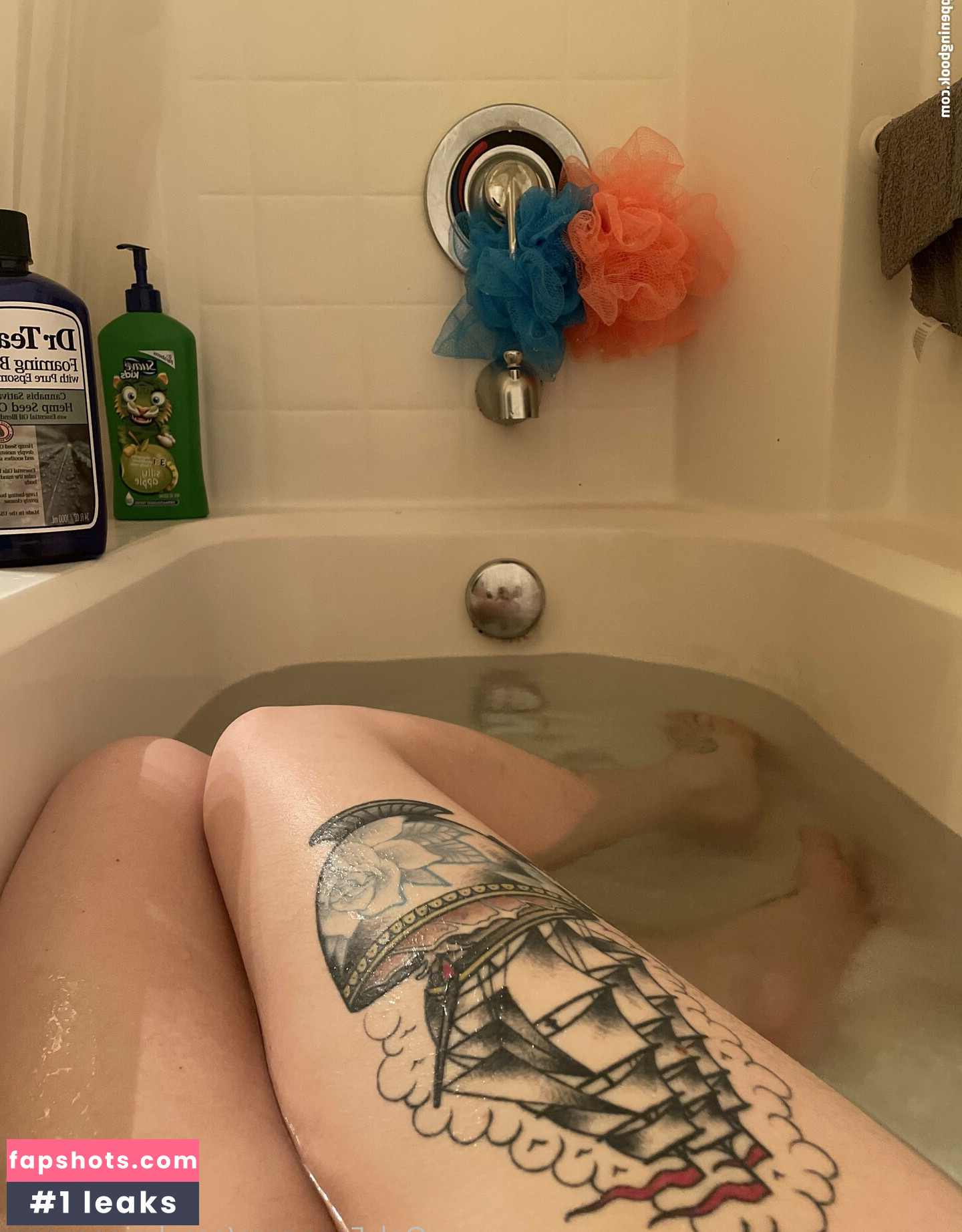 acoalminecanary gallery photo #5