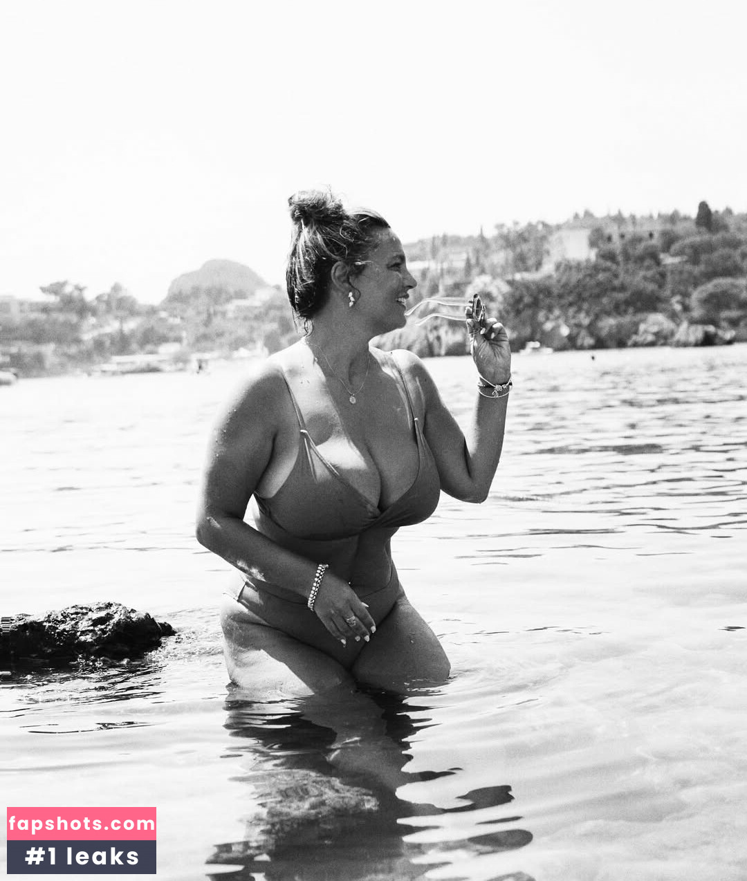 Acronopia gallery photo #17