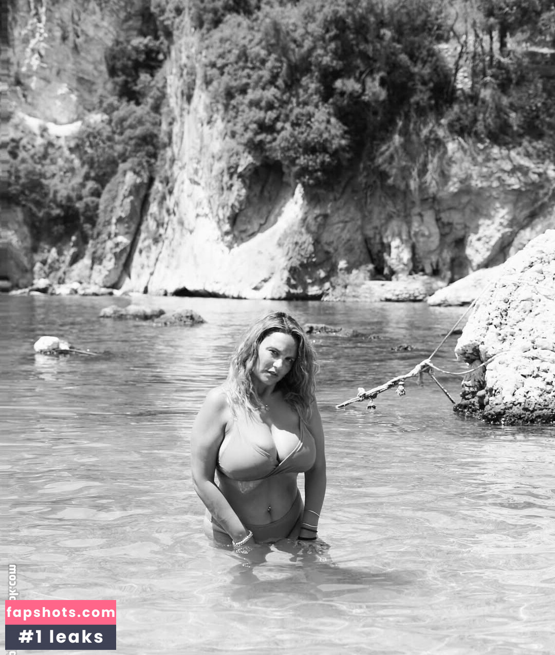 Acronopia gallery photo #18