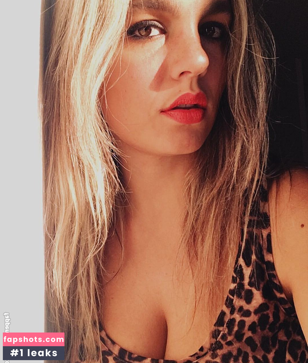 Acronopia gallery photo #85