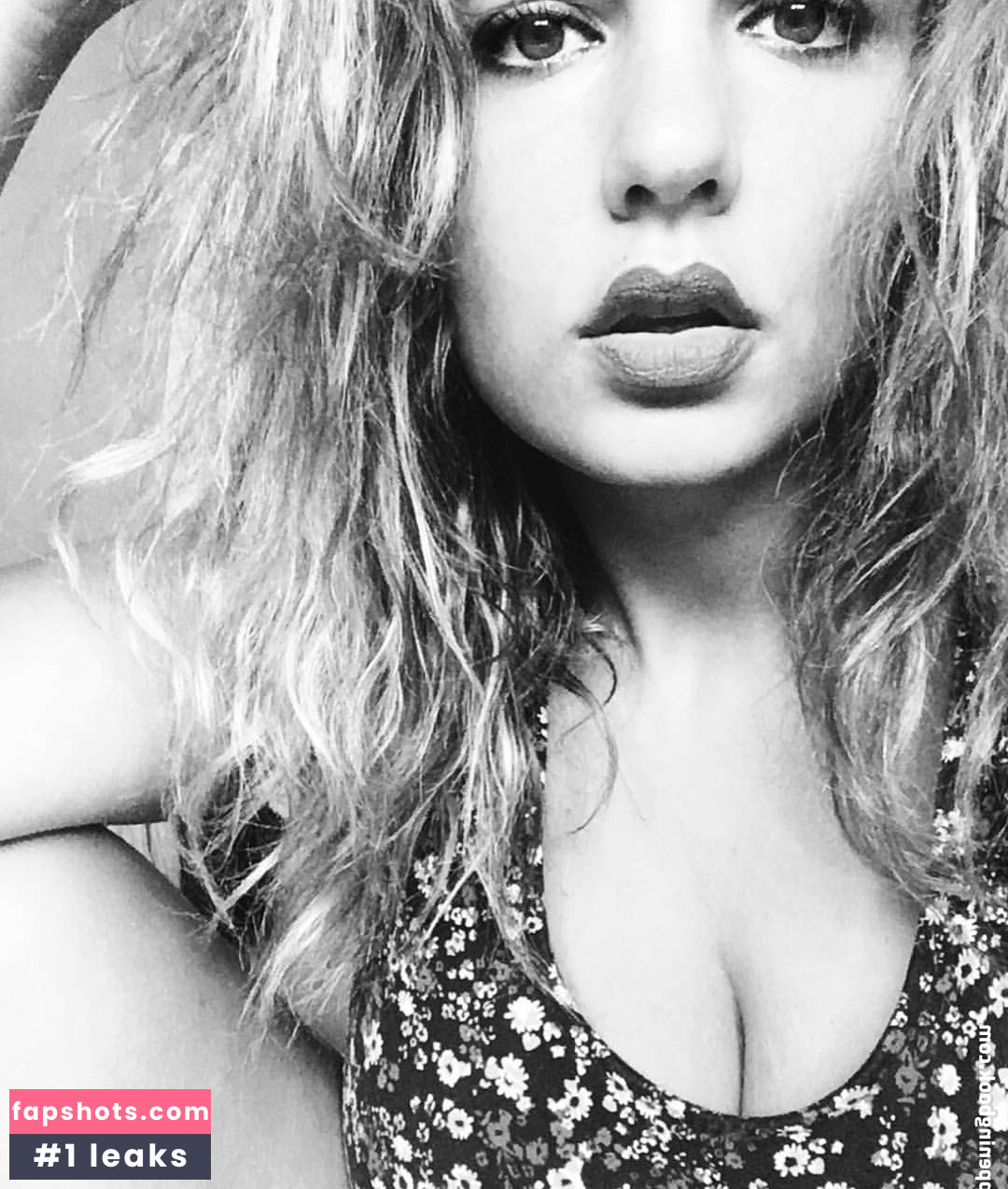 Acronopia gallery photo #97