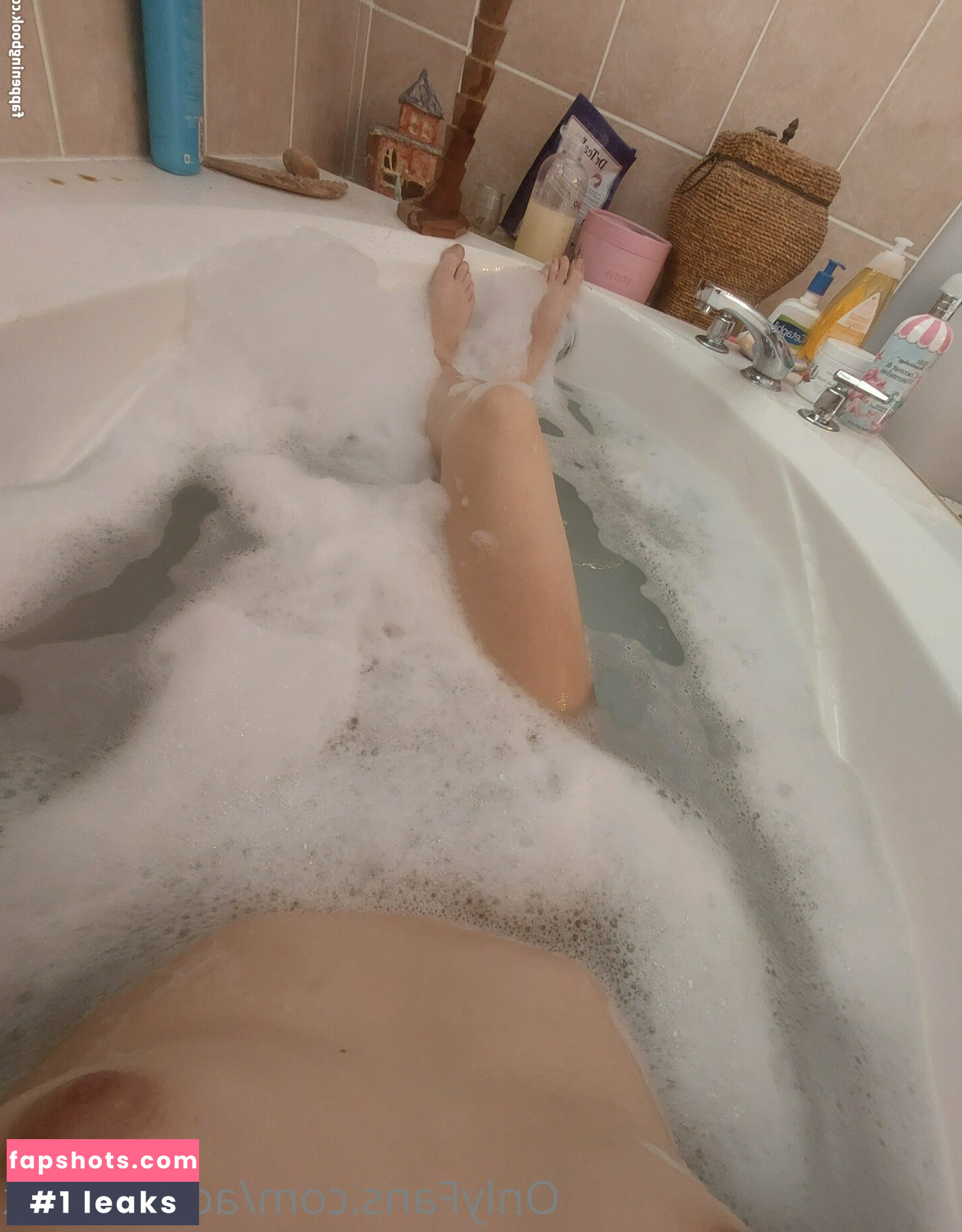 acuteshark gallery photo #15