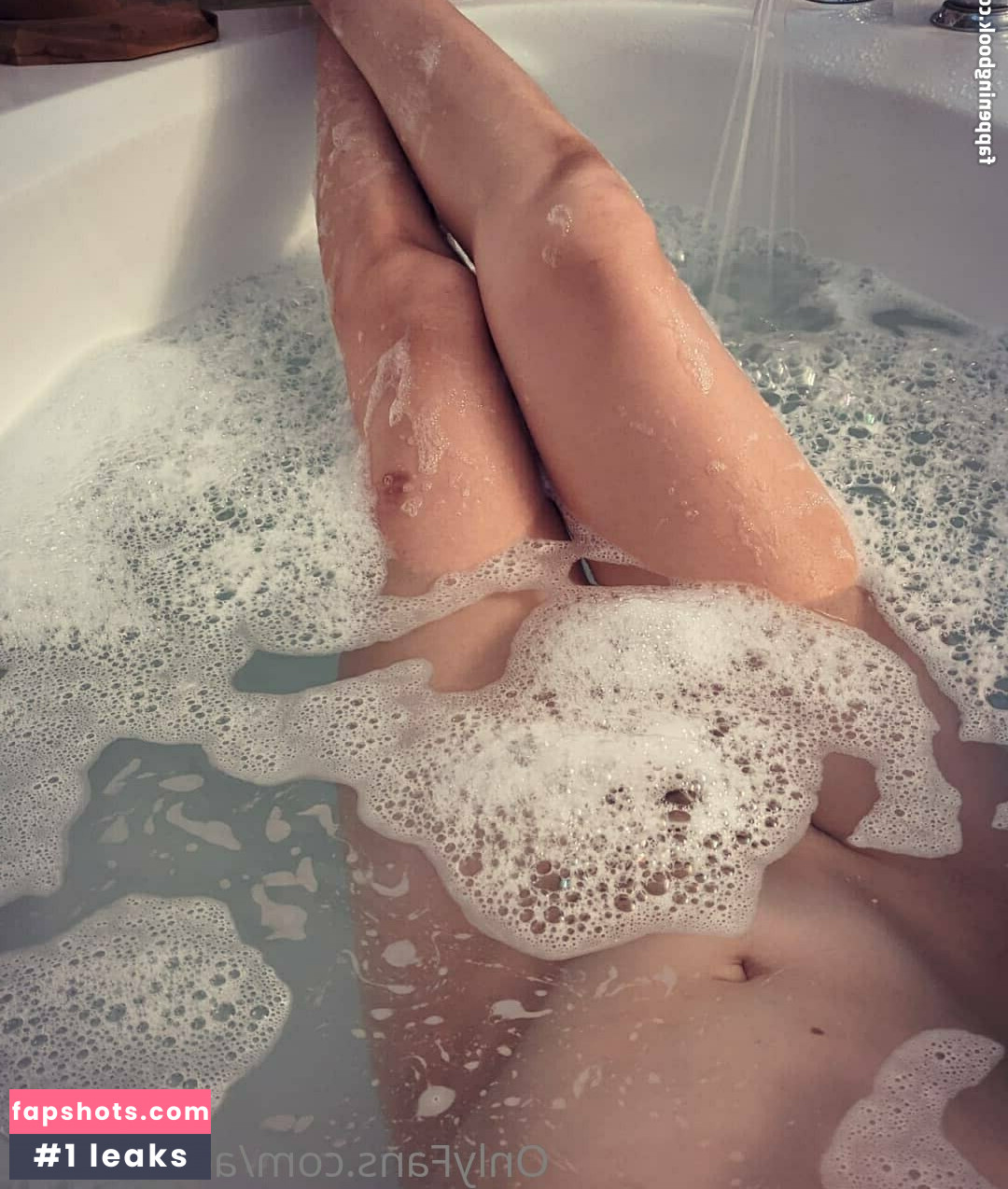 acuteshark gallery photo #16