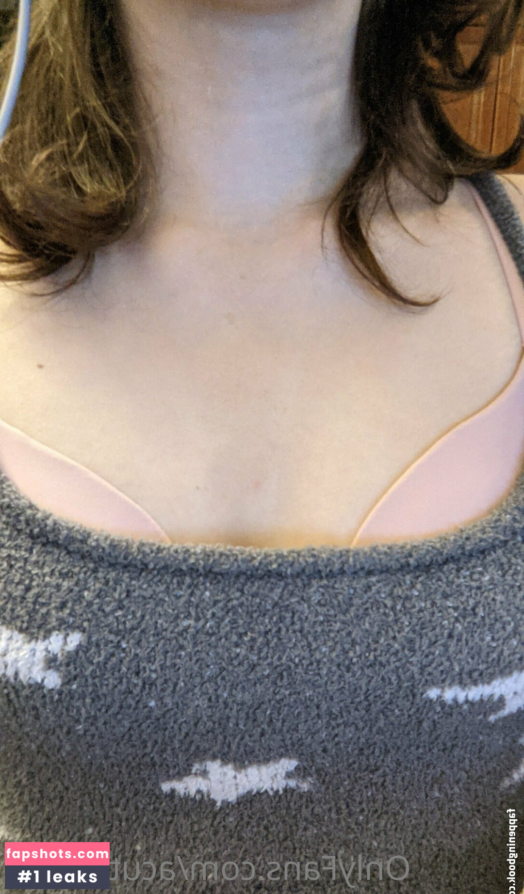 acuteshark gallery photo #35