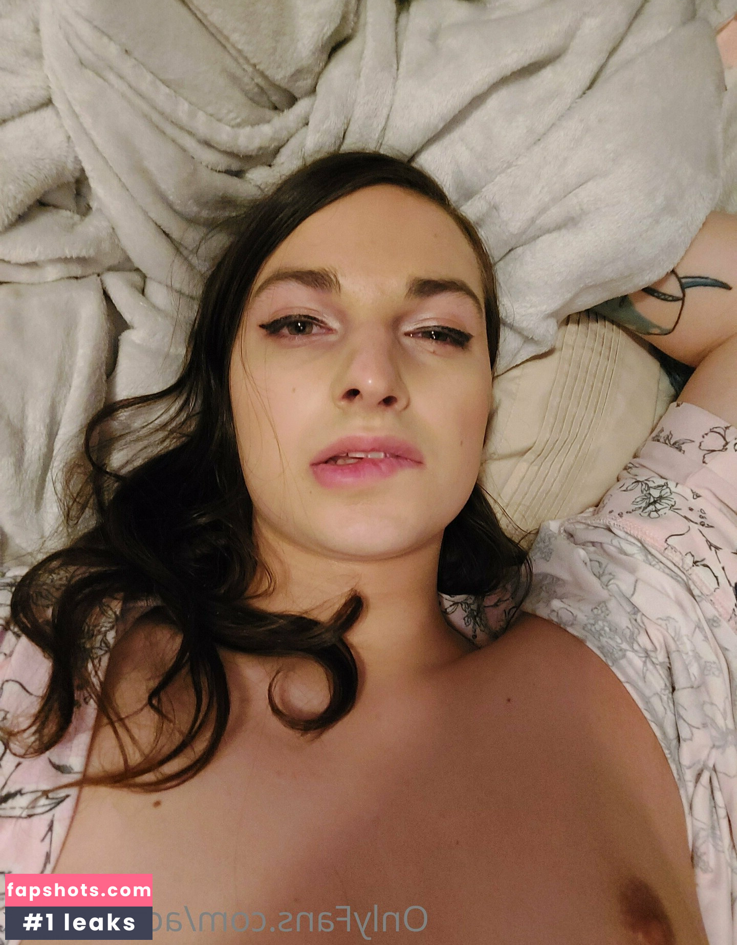 acuteshark gallery photo #51