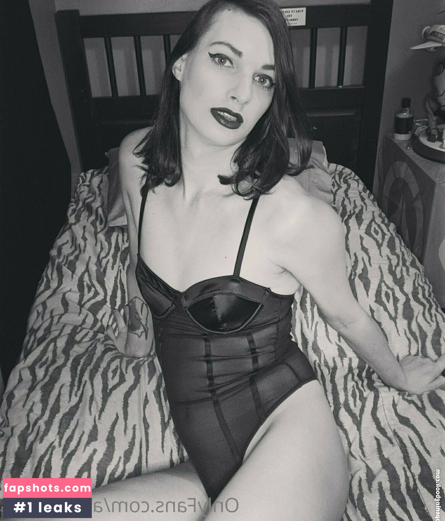 acuteshark gallery photo #7