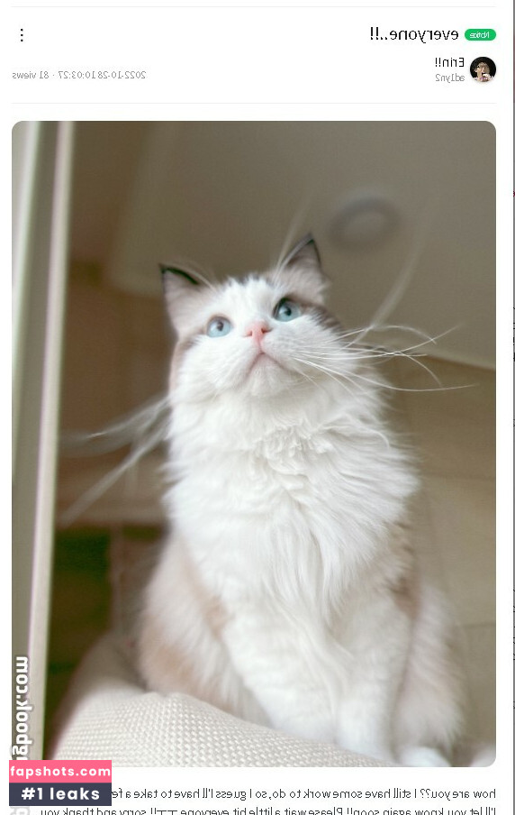 addielyn Nude Leaks OnlyFans Photos #668 - LeakJerk