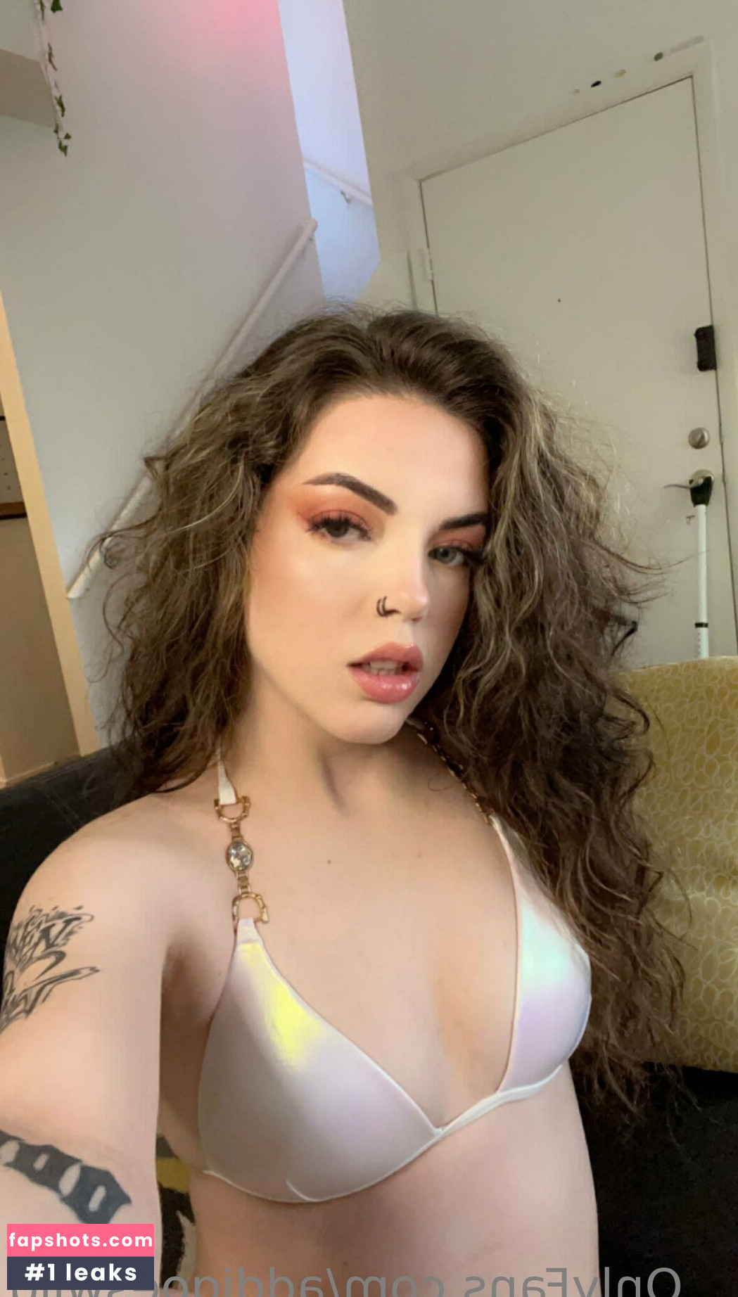 addigoeswild gallery photo #18