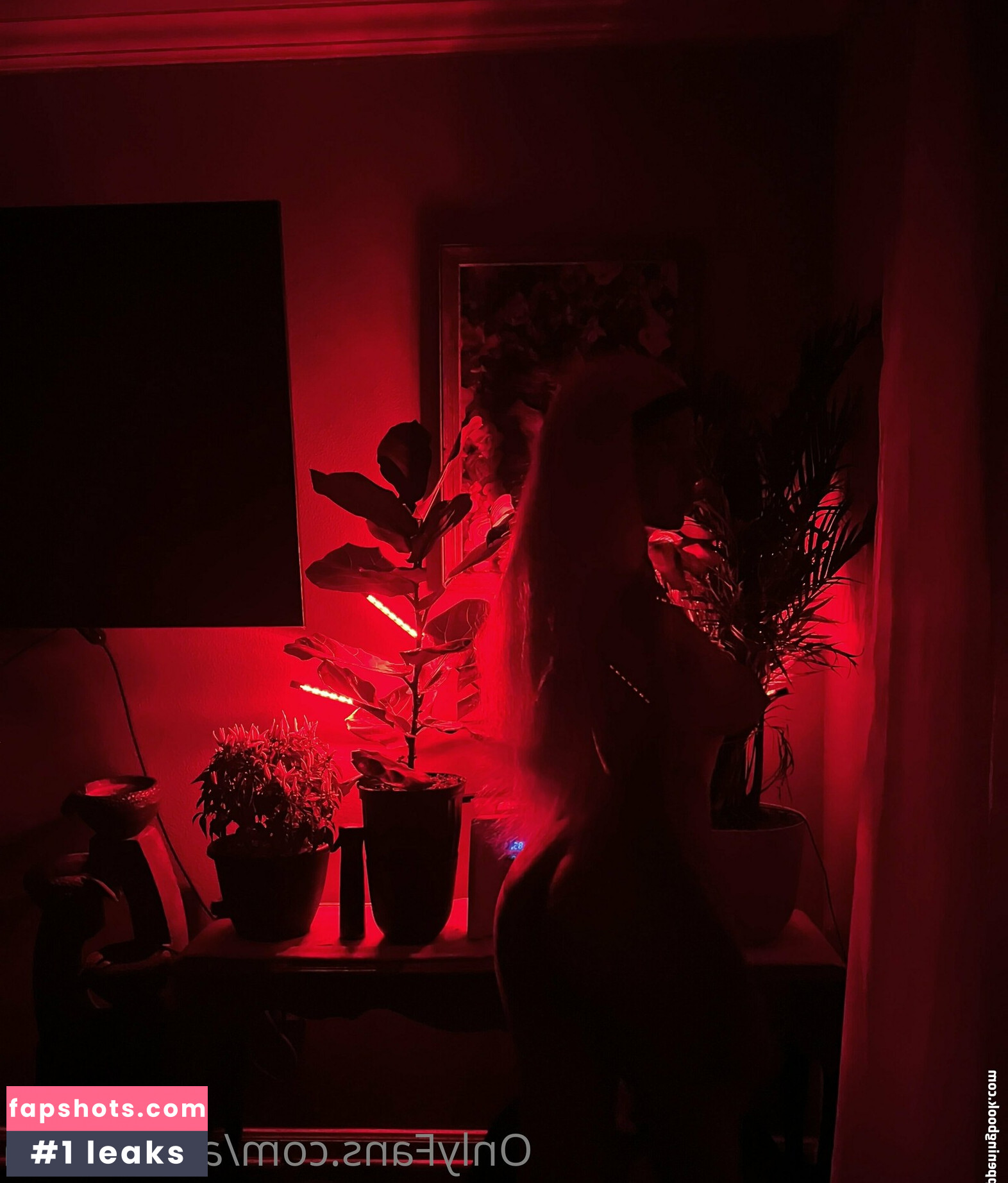 addrianala gallery photo #29