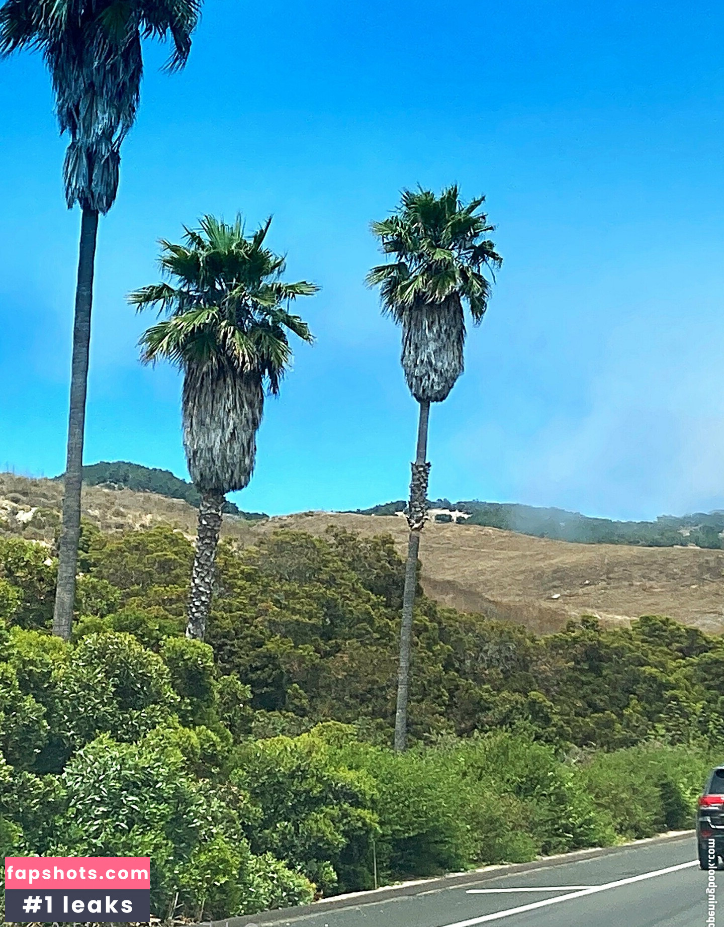 addyeliza843 gallery photo #11