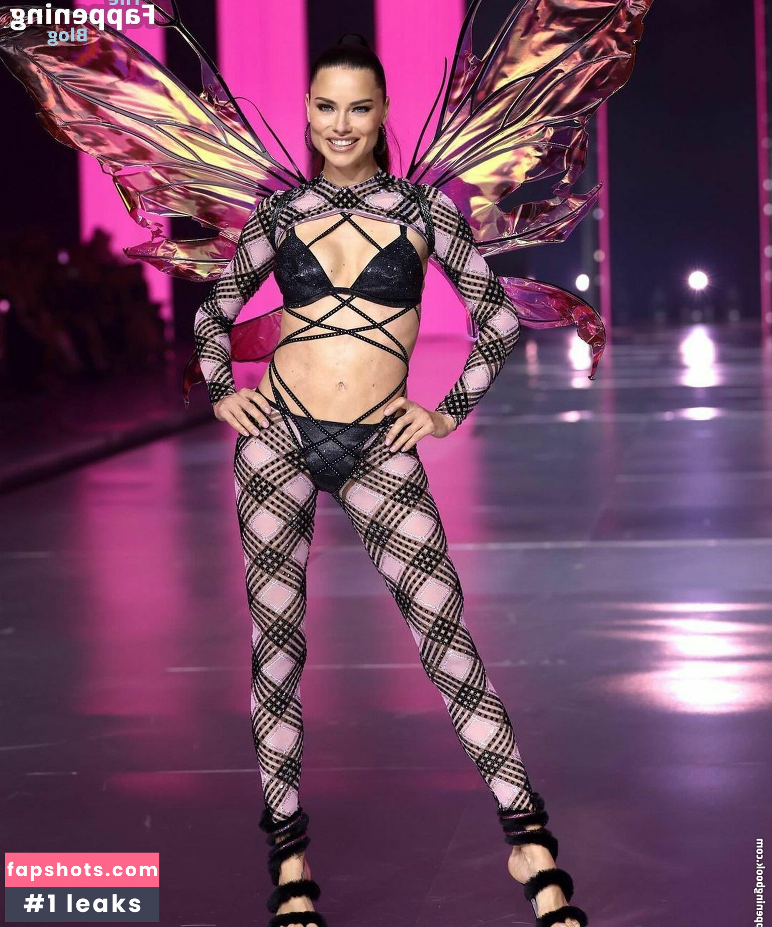 Adriana Lima gallery photo #112