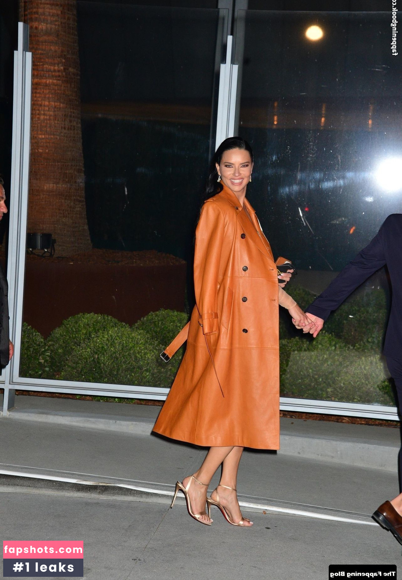 Adriana Lima Nacktheit OnlyFans Fotos #373 - Fapshots