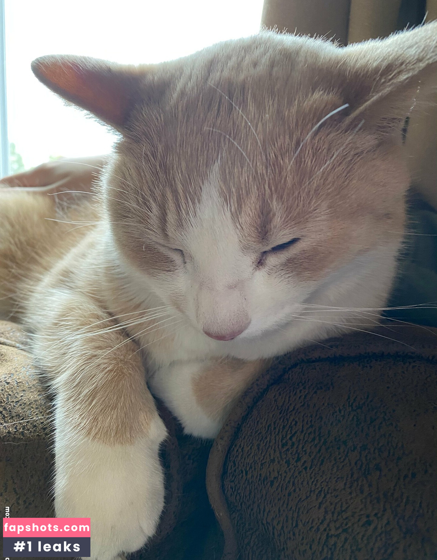 aelarose gallery photo #29