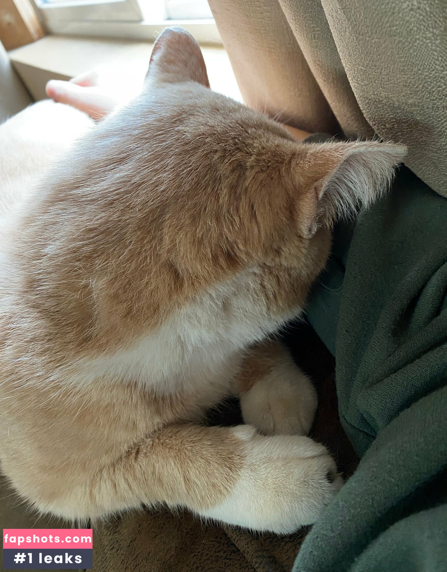 aelarose gallery photo #31