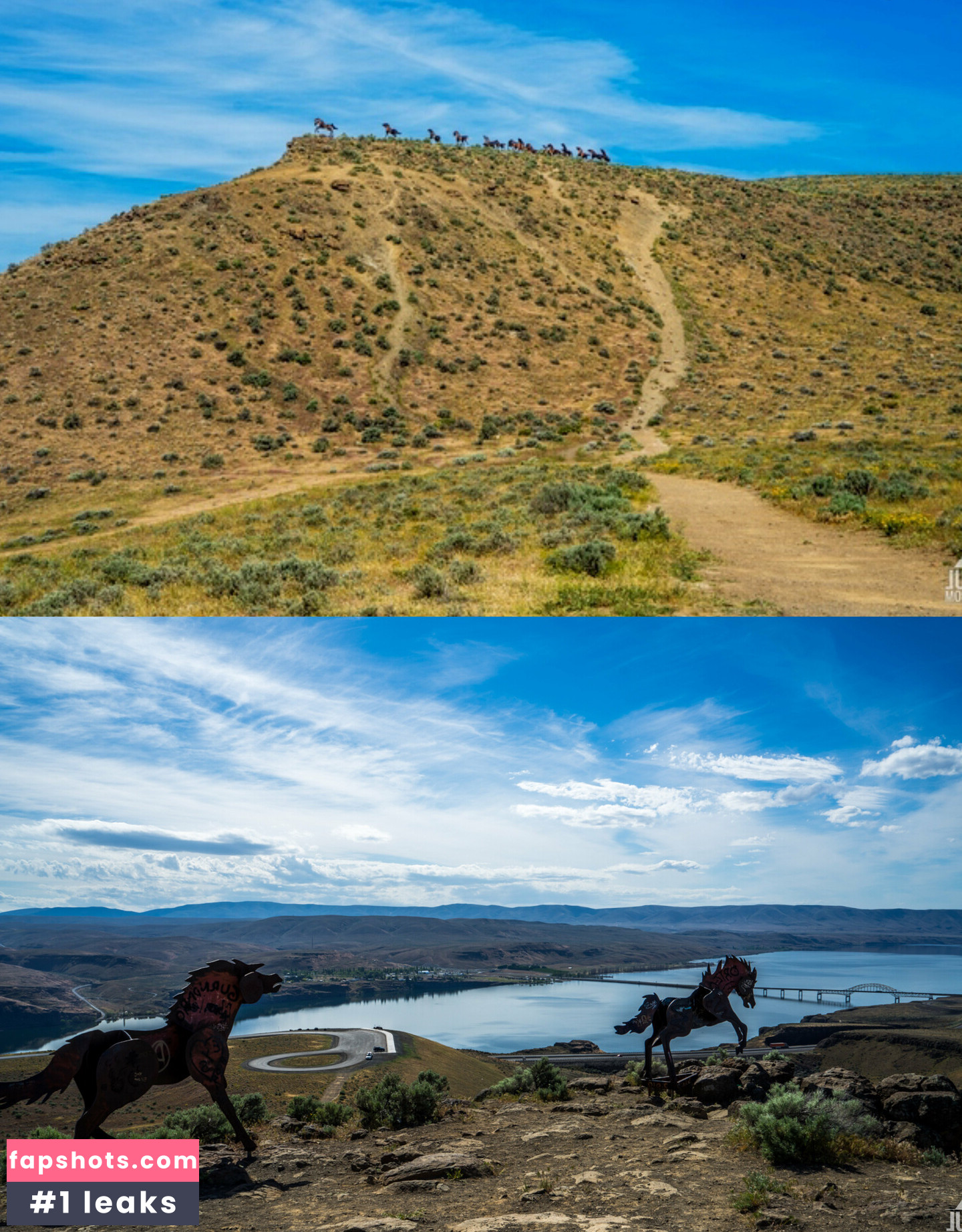 aelarose gallery photo #36