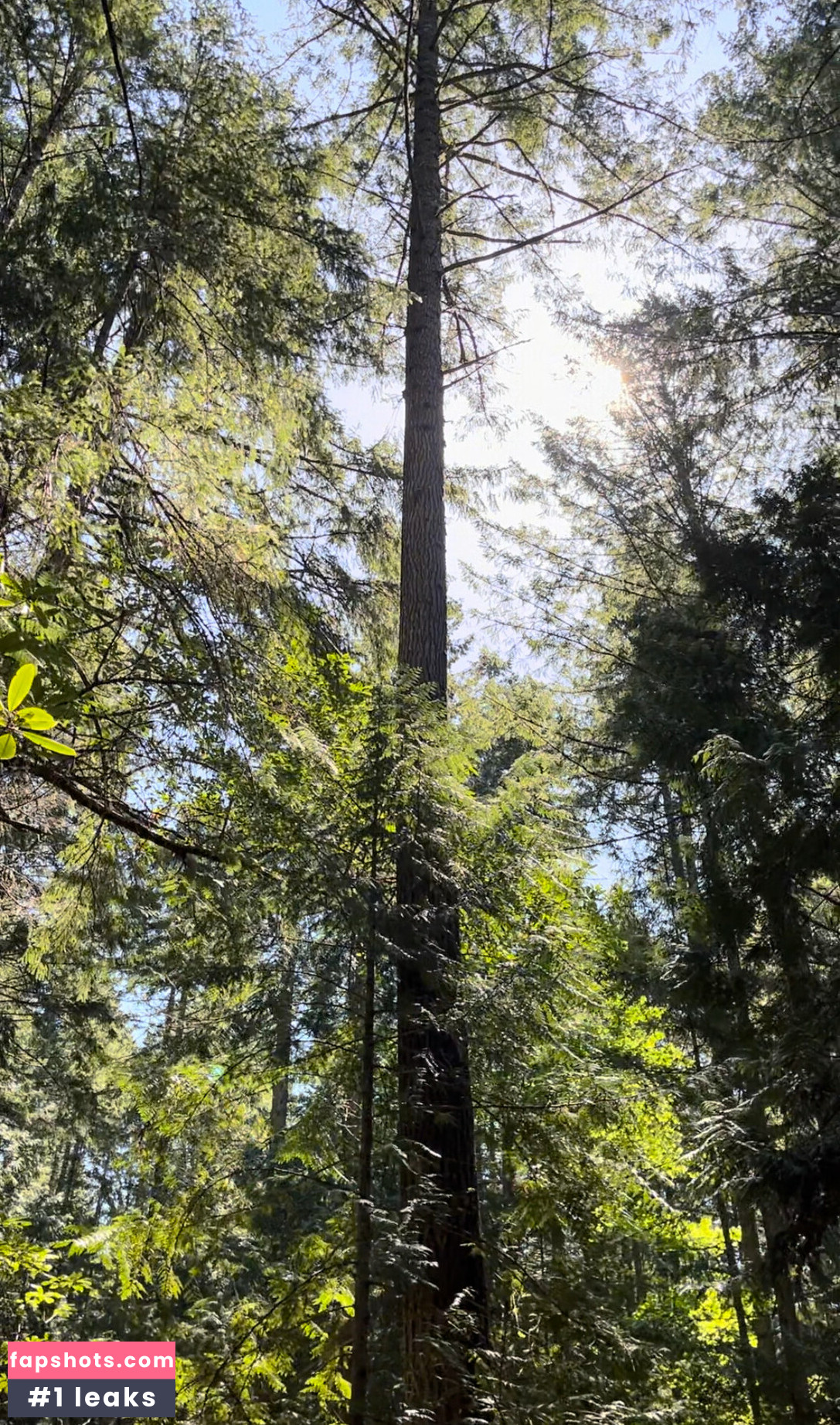 aelarose gallery photo #46