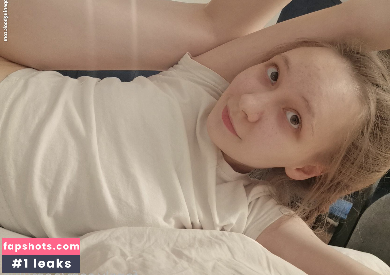 aemulus gallery photo #33