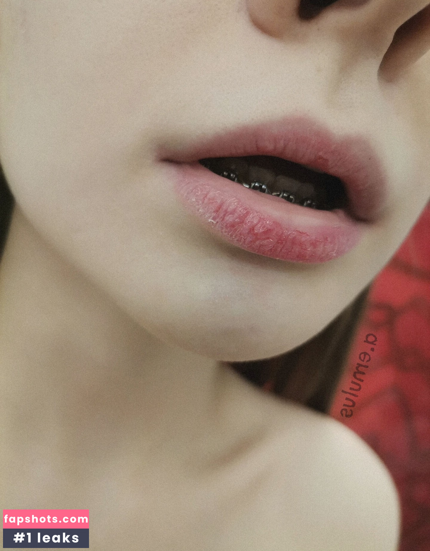 aemulus gallery photo #7