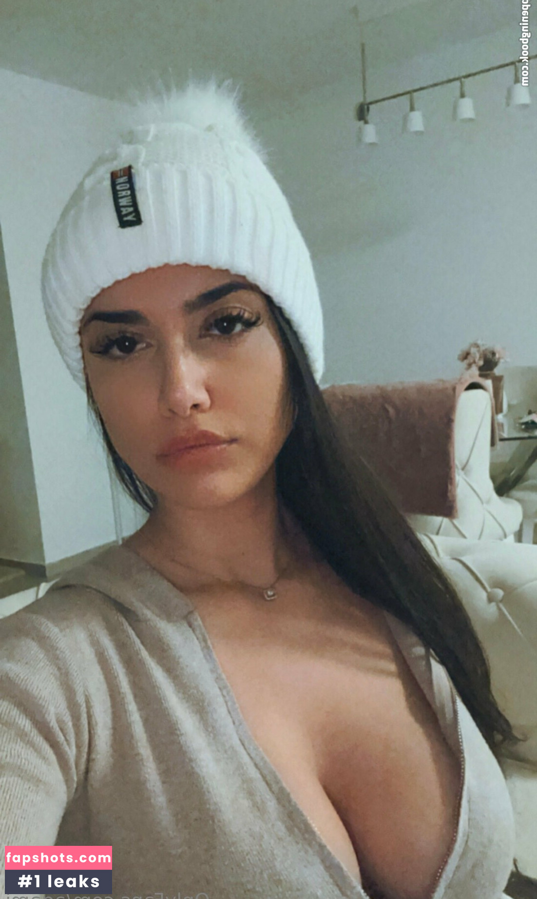 agami gallery photo #10