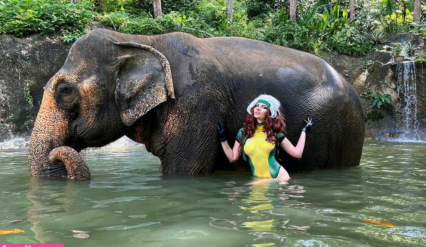 agflower-cosplay Nacktheit OnlyFans Fotos #720 - Fapshots