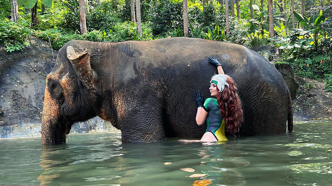 agflower-cosplay Nacktheit OnlyFans Fotos #723 - Fapshots