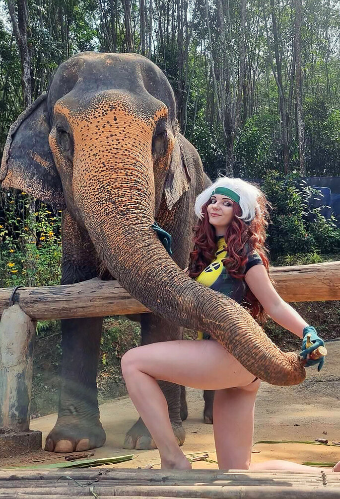 agflower-cosplay Nacktheit OnlyFans Fotos #735 - Fapshots