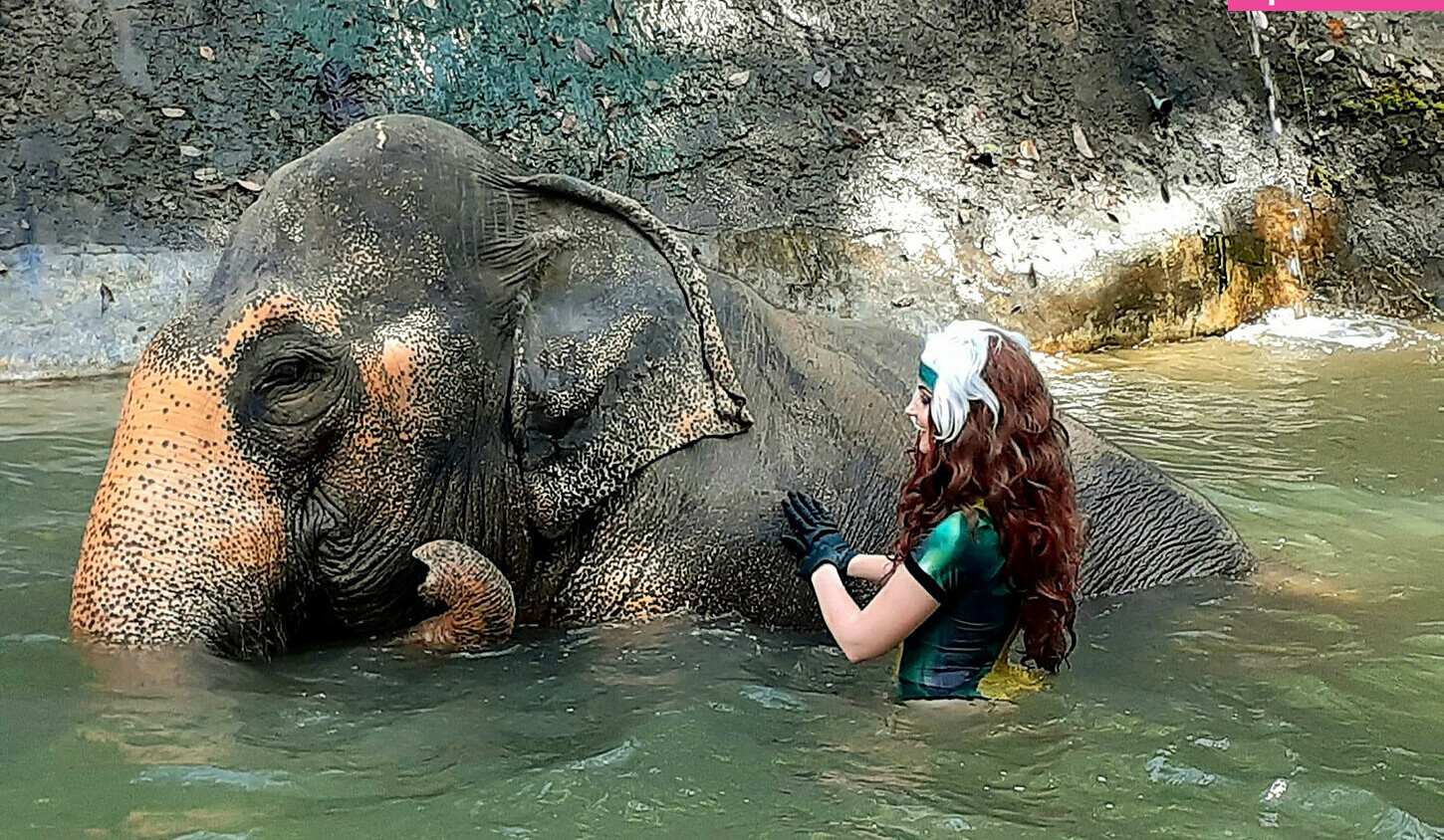 agflower-cosplay Nacktheit OnlyFans Fotos #737 - Fapshots