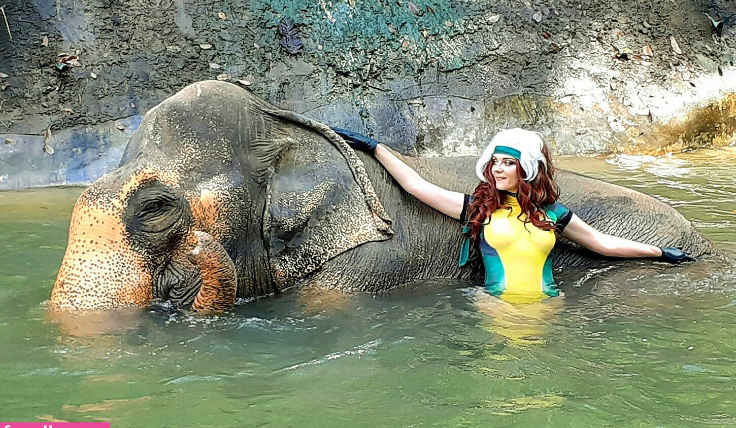 agflower-cosplay Nacktheit OnlyFans Fotos #739 - Fapshots