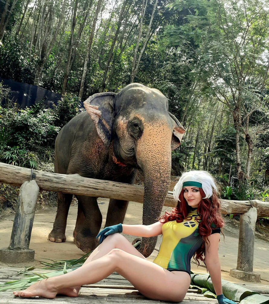 agflower-cosplay Nacktheit OnlyFans Fotos #741 - Fapshots