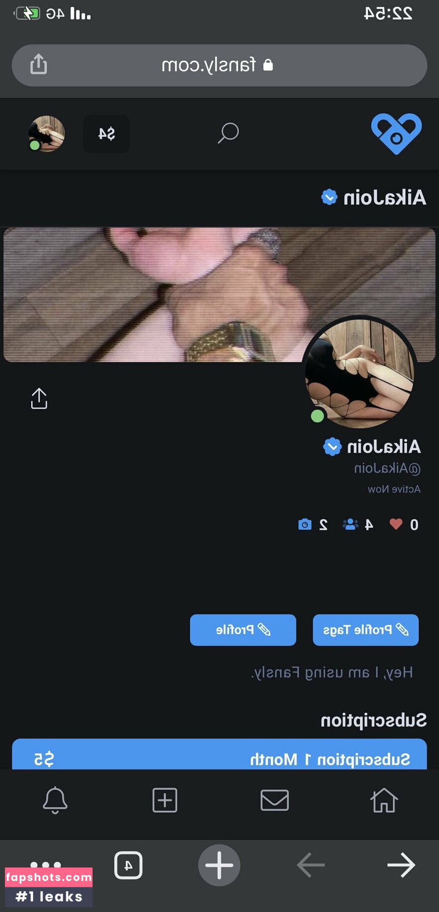 aikajo_in gallery photo #7