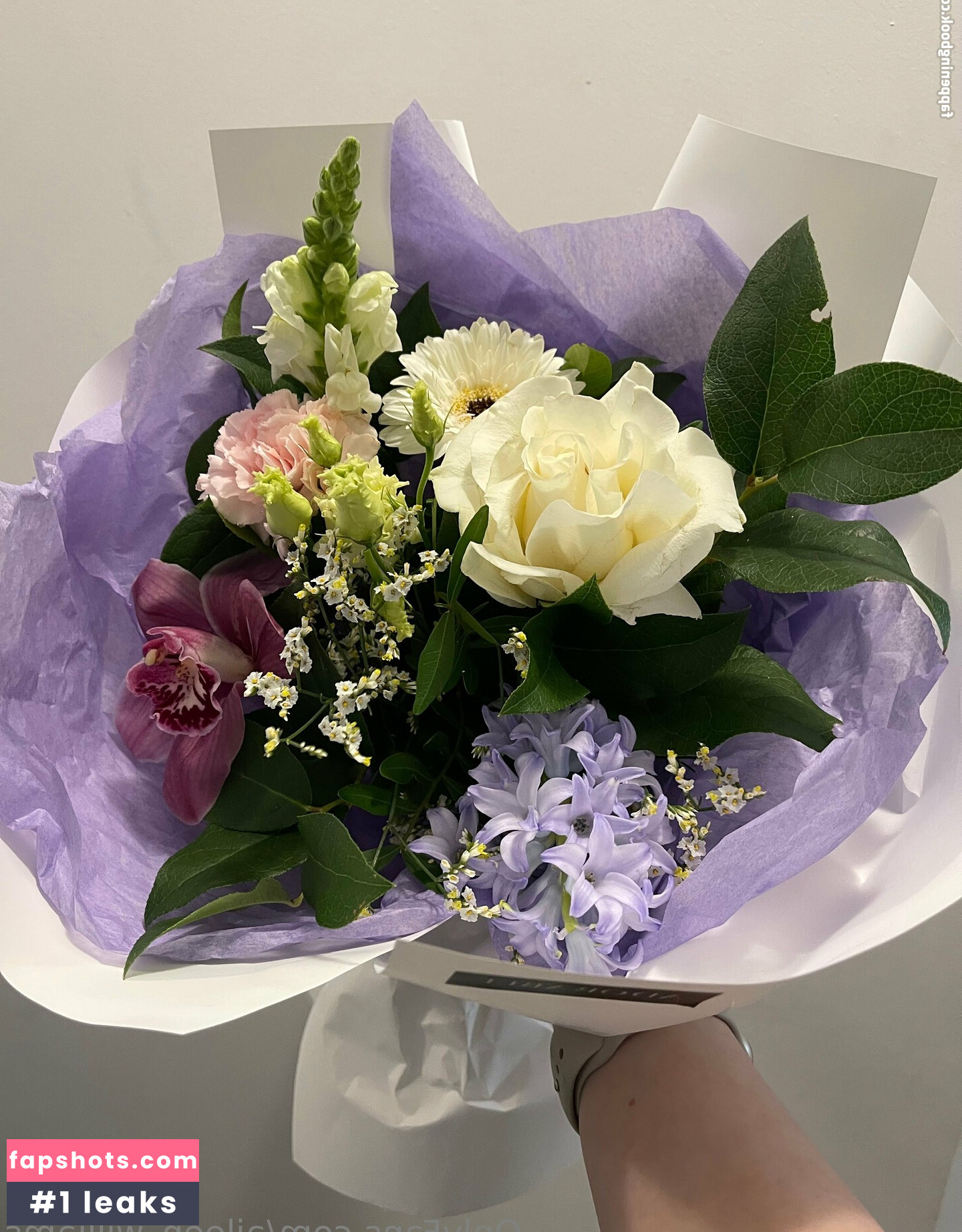 aileen_williams nude babe gallery