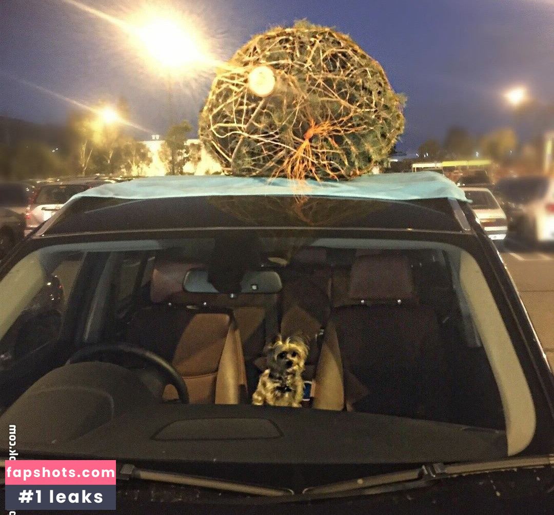 Aimee Richelle Teegarden gallery photo #26